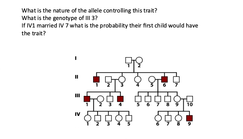 Solved What is the nature of the allele controlling this | Chegg.com