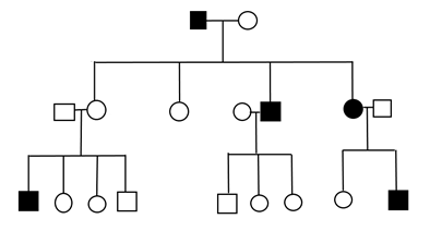 Solved Identify the inheritance pattern of the trait | Chegg.com