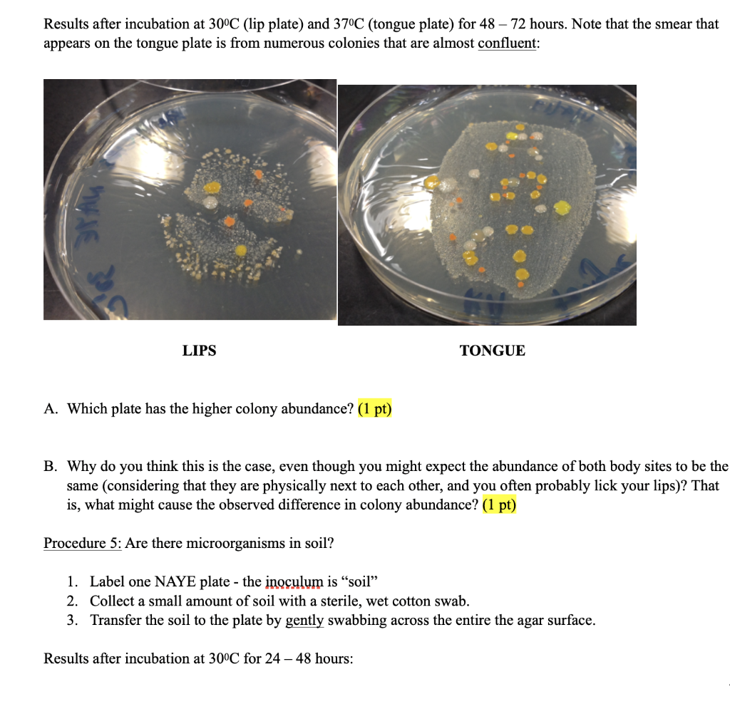 Solved Procedure 1 What's in the air you breathe? Below is