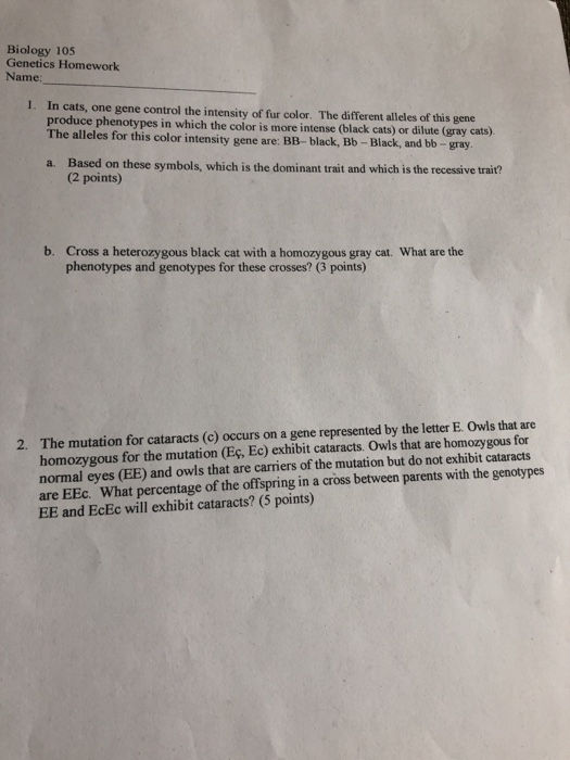 Solved: Biology 105 Genetics Homework Name: 1. In Cats, On... | Chegg.com