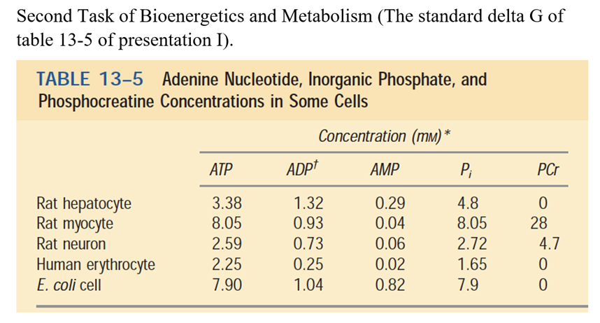Solved Second Task of Bioenergetics and Metabolism (The | Chegg.com