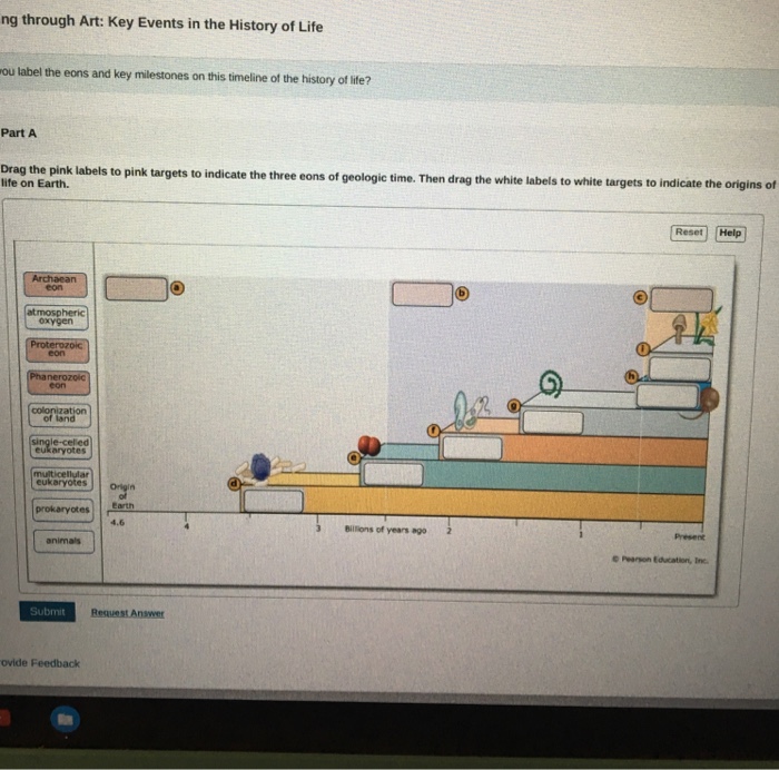 Solved ng through Art Key Events in the History of Life ou
