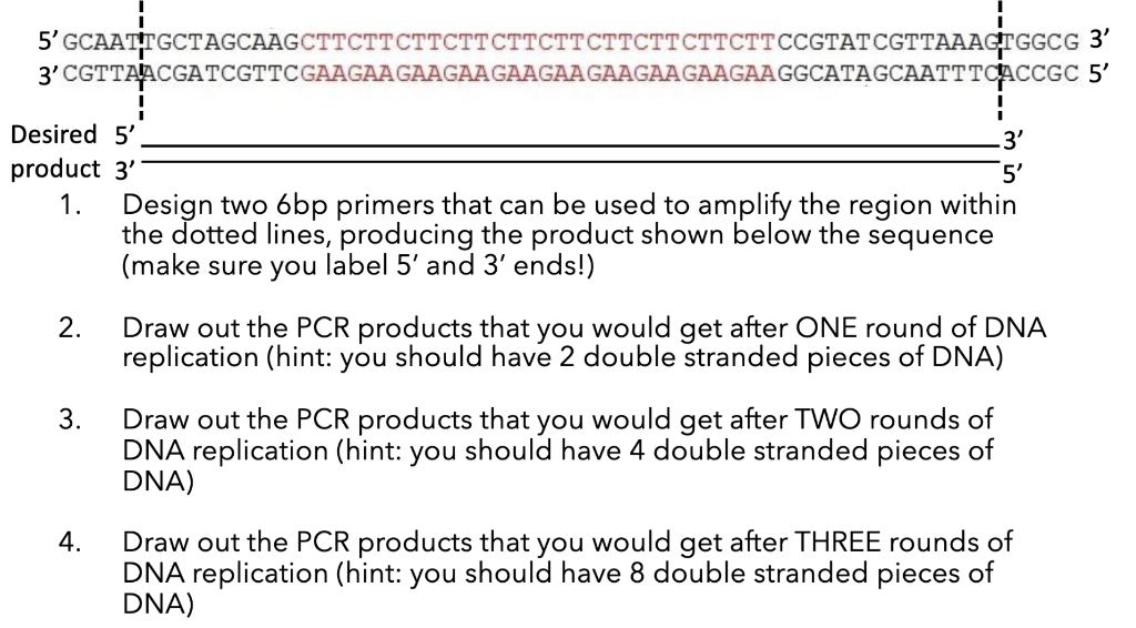 Solved 1. ﻿Design two 6bp primers that can be used to | Chegg.com