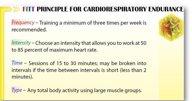 the fitnessgram pacer test/mile run helps to improve which body system