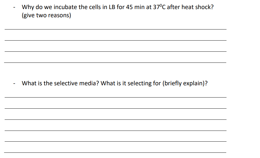 Solved Why do we incubate the cells in LB for 45 min at 37°C