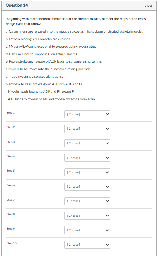 Beginning with motor neuron stimulation of the skeletal muscle, number the steps of the crossbridge cycle that follow: a. Cal