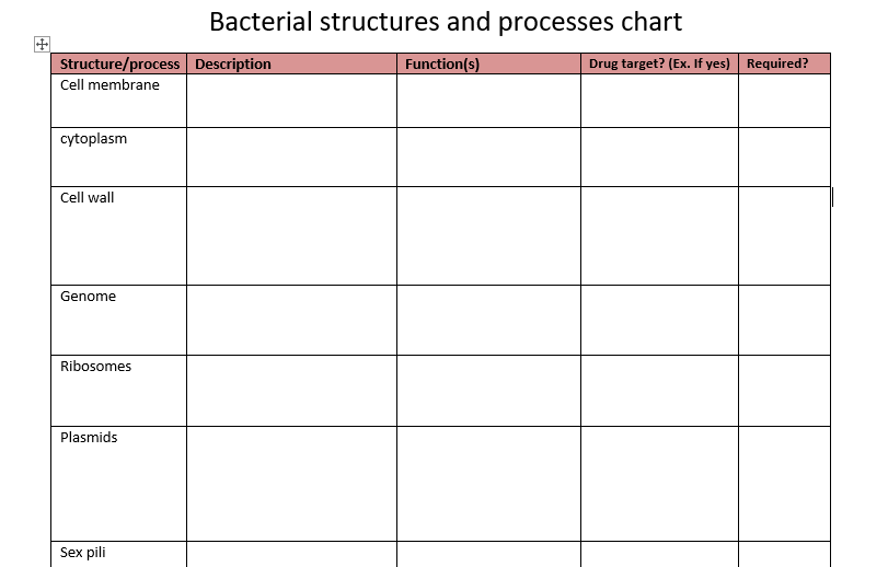Types Of Bacteria Chart