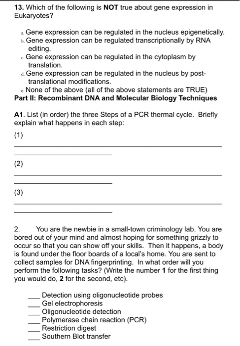 Solved 13. Which of the following is NOT true about gene | Chegg.com