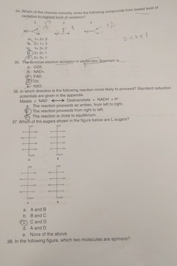 Solved please check if these answers are correct . Also | Chegg.com