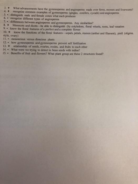 Solved ve the gymnosperms and angiosperms made over ferns,