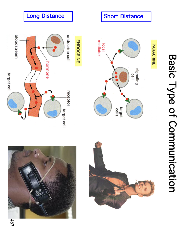 Can You Please Help Me Design The Signaling System | Chegg.com