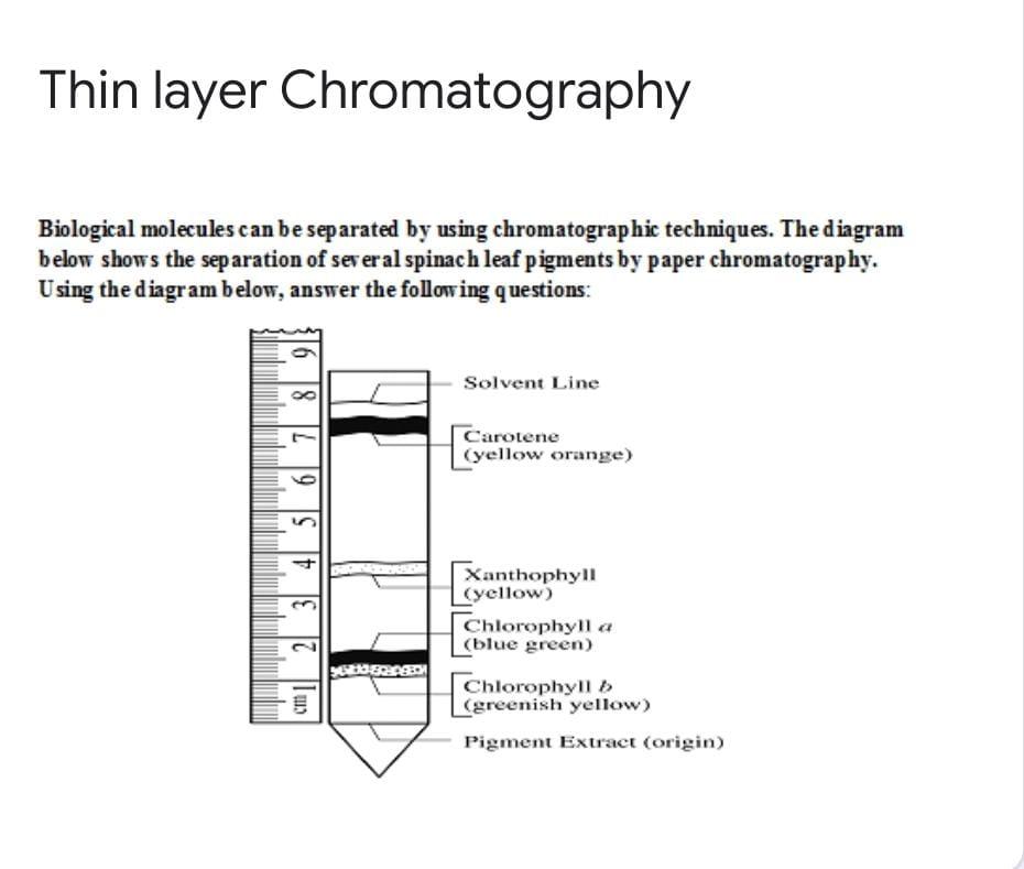 solved-1-which-of-the-4-pigments-was-mostly-chegg