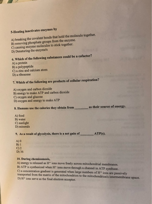 Solved 5Heating inactivates enzymes by A) breaking the