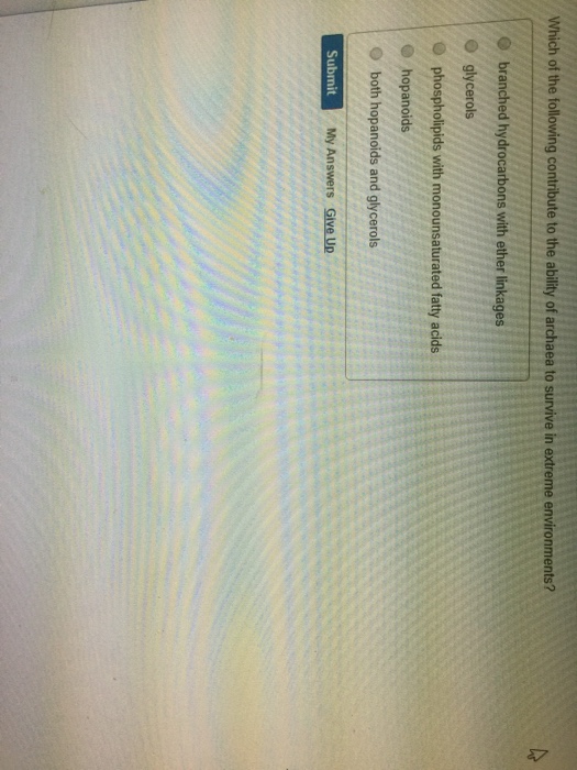 Solved: Part A The Endosymbiotic Theory Does NOT Provide A... | Chegg.com