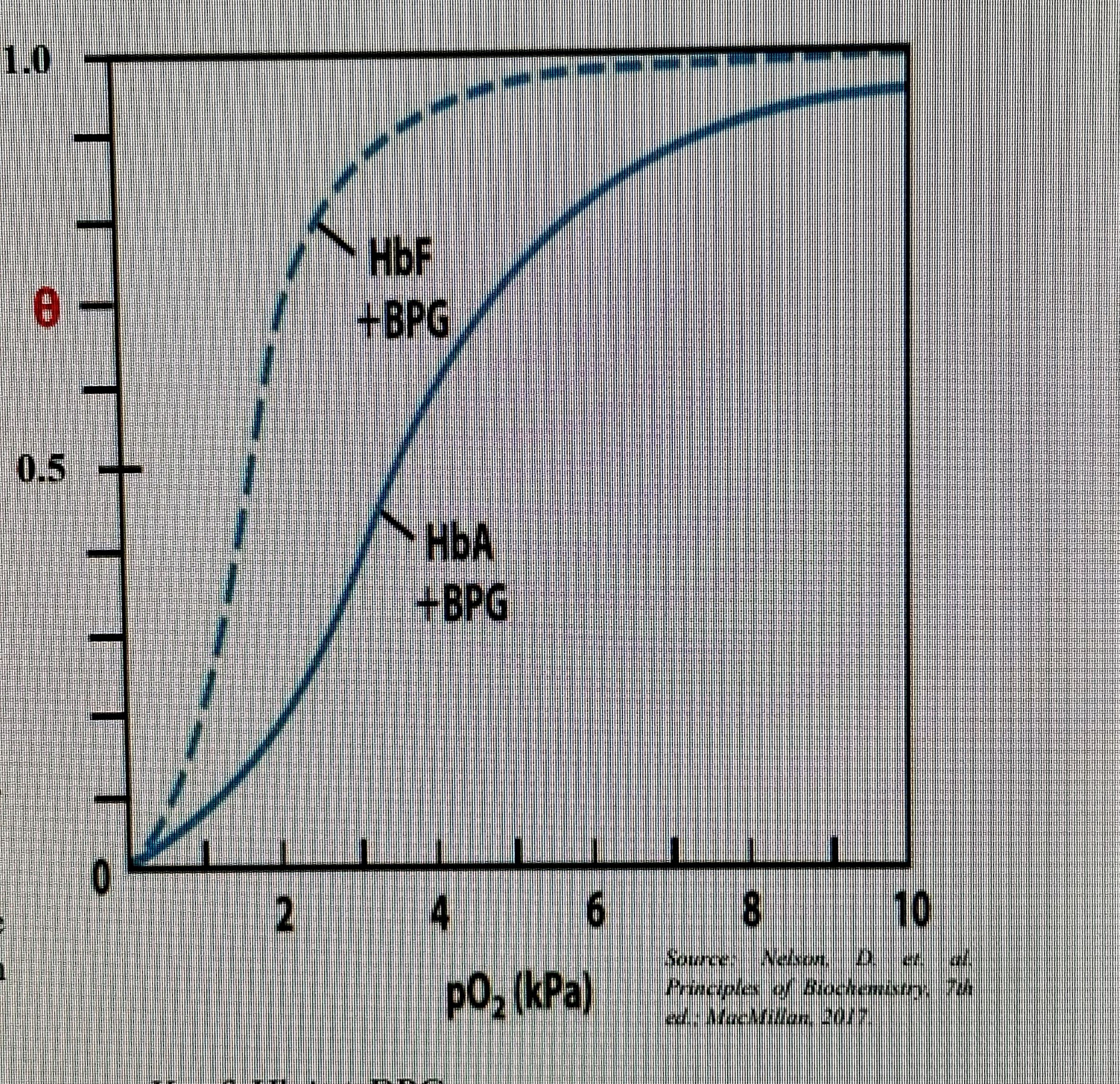 Solved The Hemoglobin In The Fetus (HbF) Is A Structural | Chegg.com