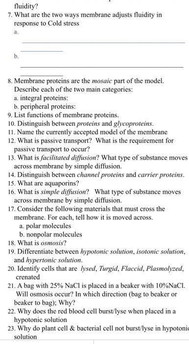 Solved fluidity? 7. What are the two ways membrane adjusts | Chegg.com