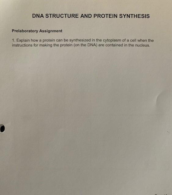 Solved DNA STRUCTURE AND PROTEIN SYNTHESIS Prelaboratory | Chegg.com