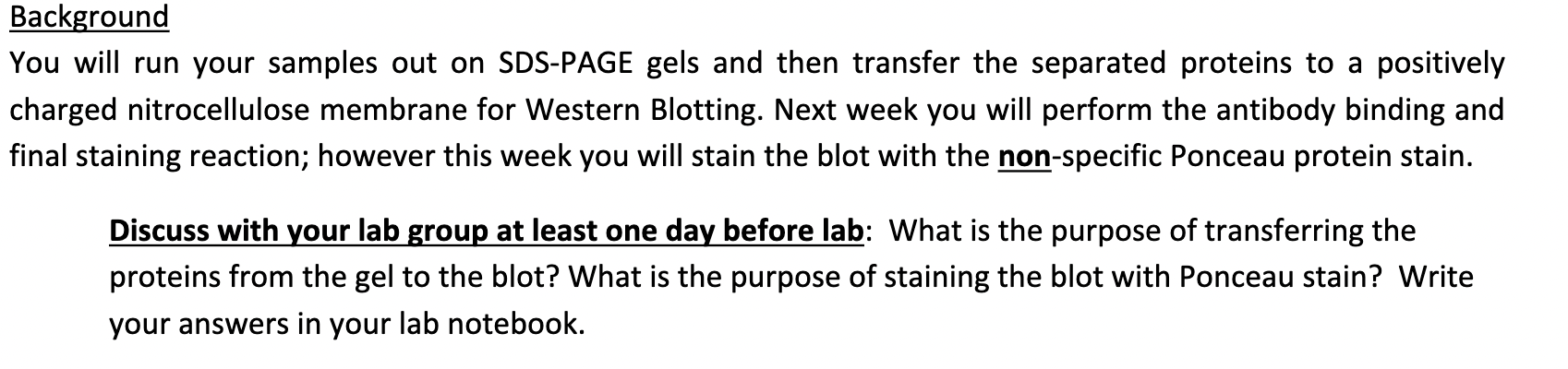 ou will run your samples out on SDS-PAGE gels and | Chegg.com