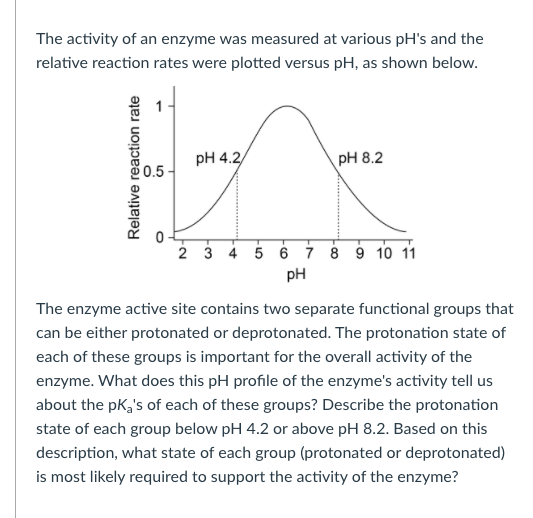Solved The activity of an enzyme was measured at various | Chegg.com