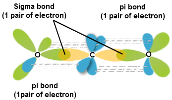 Solved Draw the hybrid and non hybrid atomic orbitals of the | Chegg.com