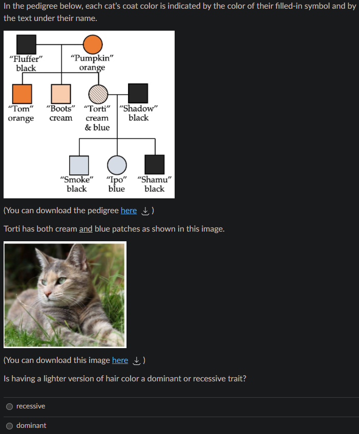 Solved You learned in class that cats' X chromosomes carry