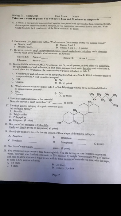 Final Exam Name Biology 211, Winter 2018 This Exam Is | Chegg.com