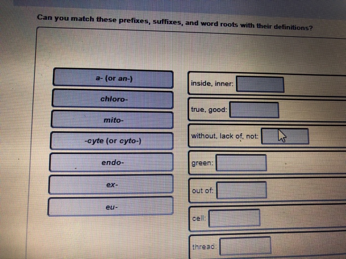 solved-can-you-match-these-prefixes-suffixes-and-word-chegg