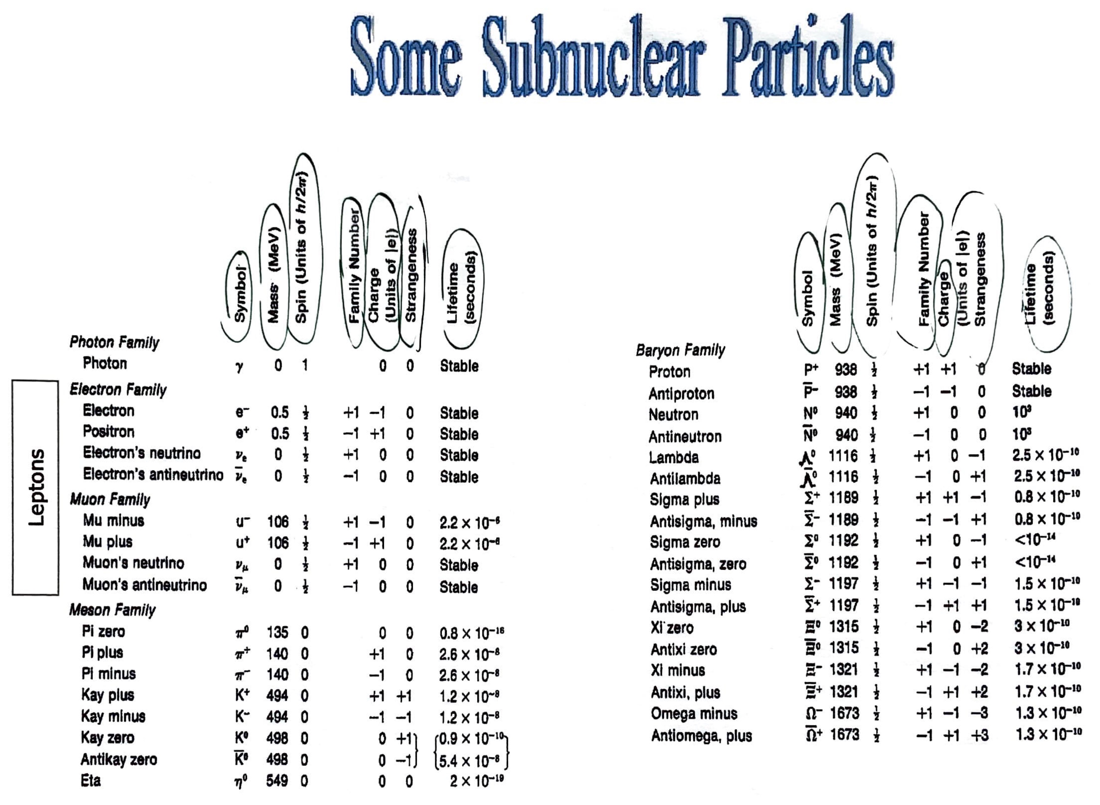 Quarks Study Guide - Inspirit Learning Inc
