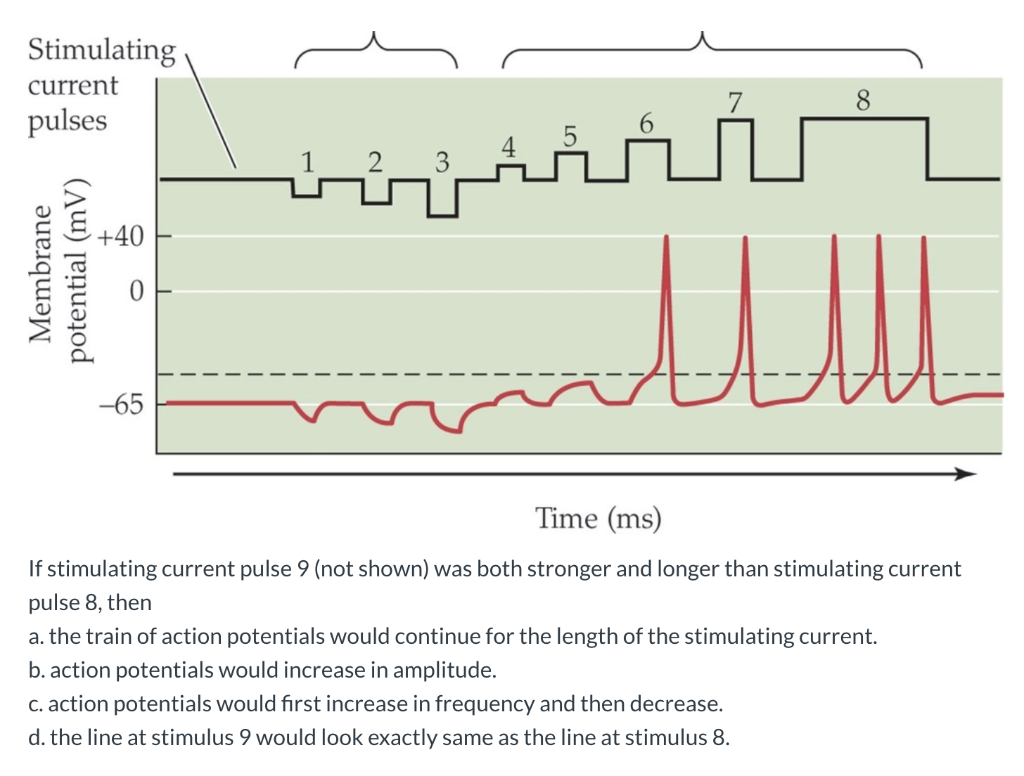 Solved Stimulating current pulses பப்பப்பட்ட +40 Membrane | Chegg.com