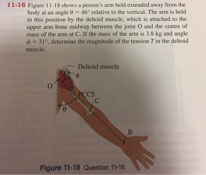 Solved 11-16 Figure 11-18 shows a person's arm held | Chegg.com
