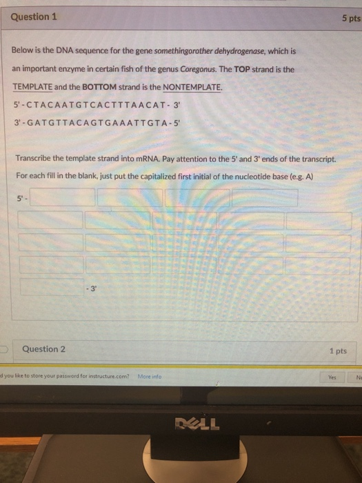 Solved Question1 5 pts Below is the DNA sequence for the | Chegg.com