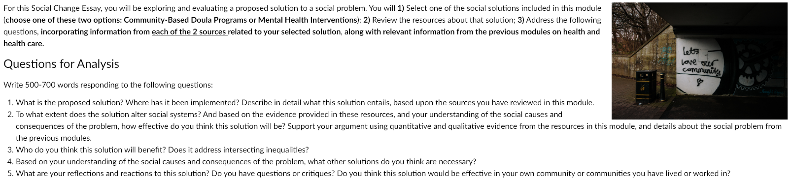 social development essay questions