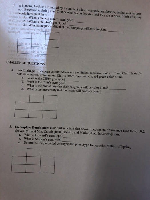 34 Genetics Challenge Worksheet Answers - support worksheet