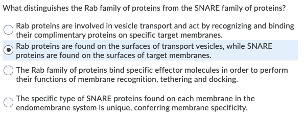 What distinguishes the Rab family of proteins from the SNARE family of proteins? Rab proteins are involved in vesicle transpo