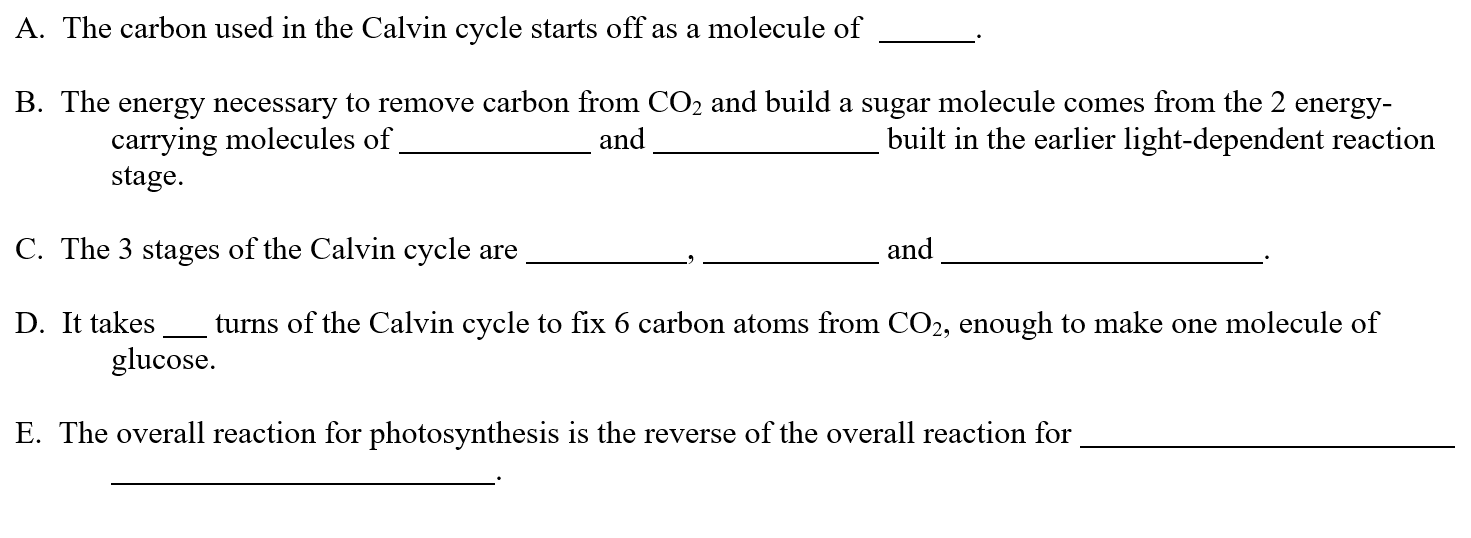 calvin-cycle-definition-and-examples-biology-online-dictionary