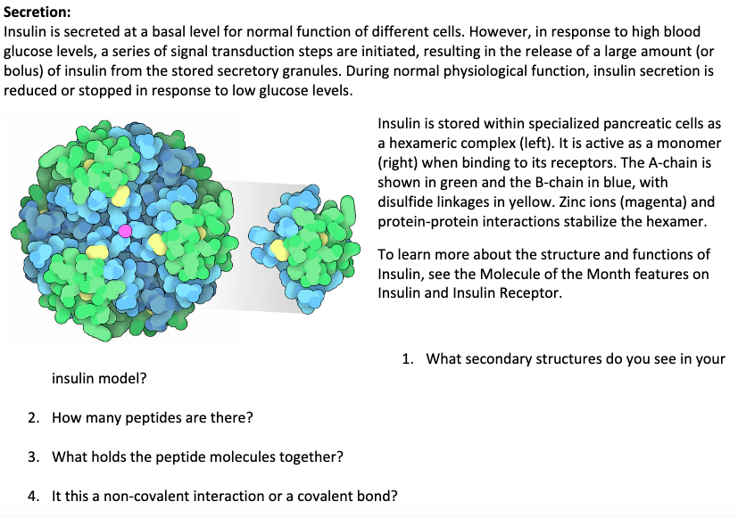 Solved Secretion: Insulin Is Secreted At A Basal Level For | Chegg.com