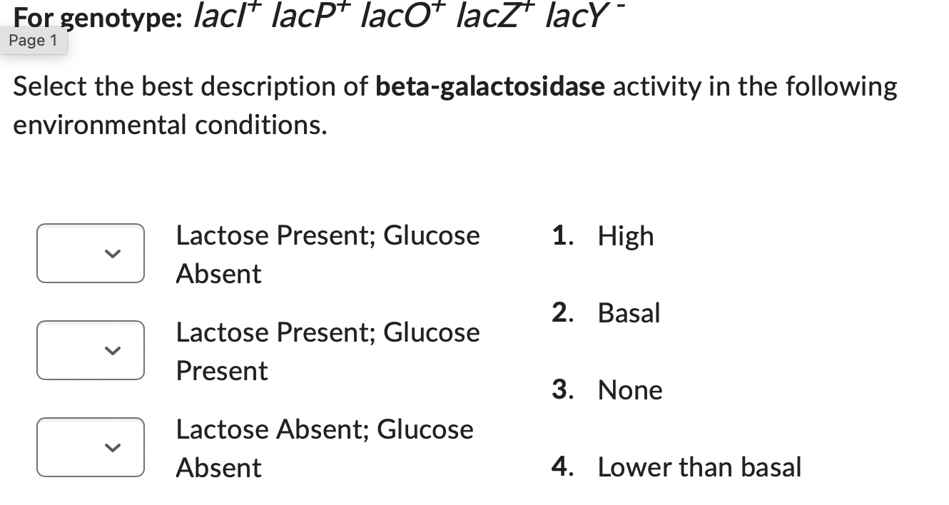 For genotype: lacl lacP laco lacz lacy
Select the best description of beta-galactosidase activity in the following environmen