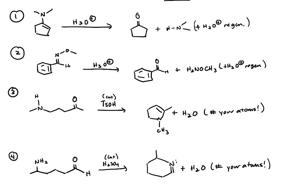 Solved 6 Hooo 온 + H-N+ H2O® regen.) : من هی منی на о© + | Chegg.com