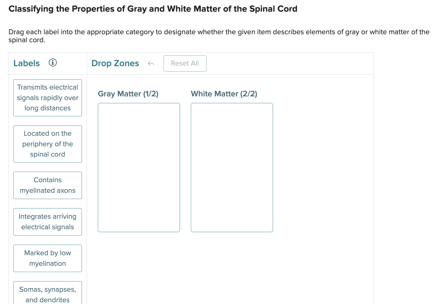 Solved Classifying the Properties of Gray and White Matter | Chegg.com