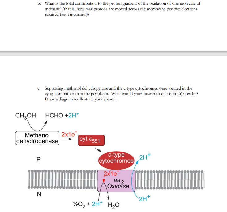 Solved b. What is the total contribution to the proton | Chegg.com