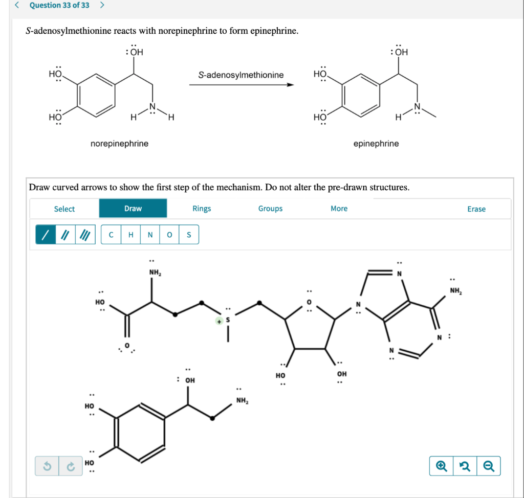 s adenosylmethionine