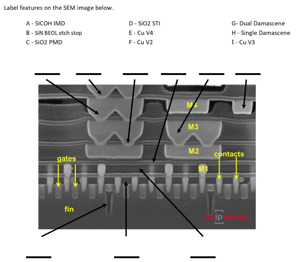 Solved Label the SEM image | Chegg.com