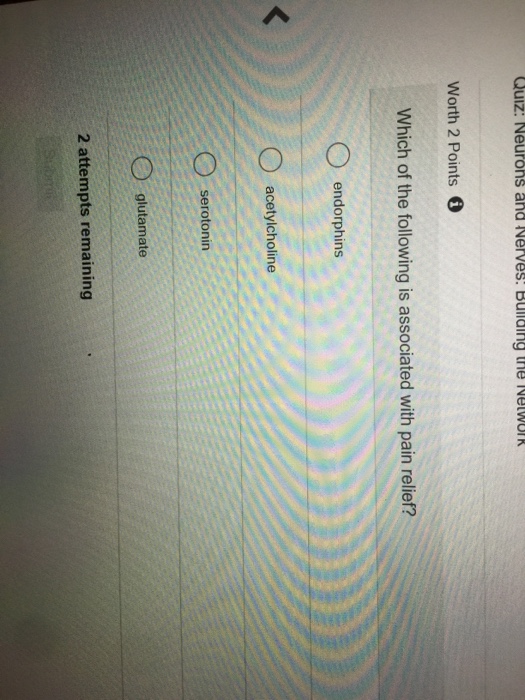 Solved Worth 2 Points。 Which one of the following is NOT a | Chegg.com
