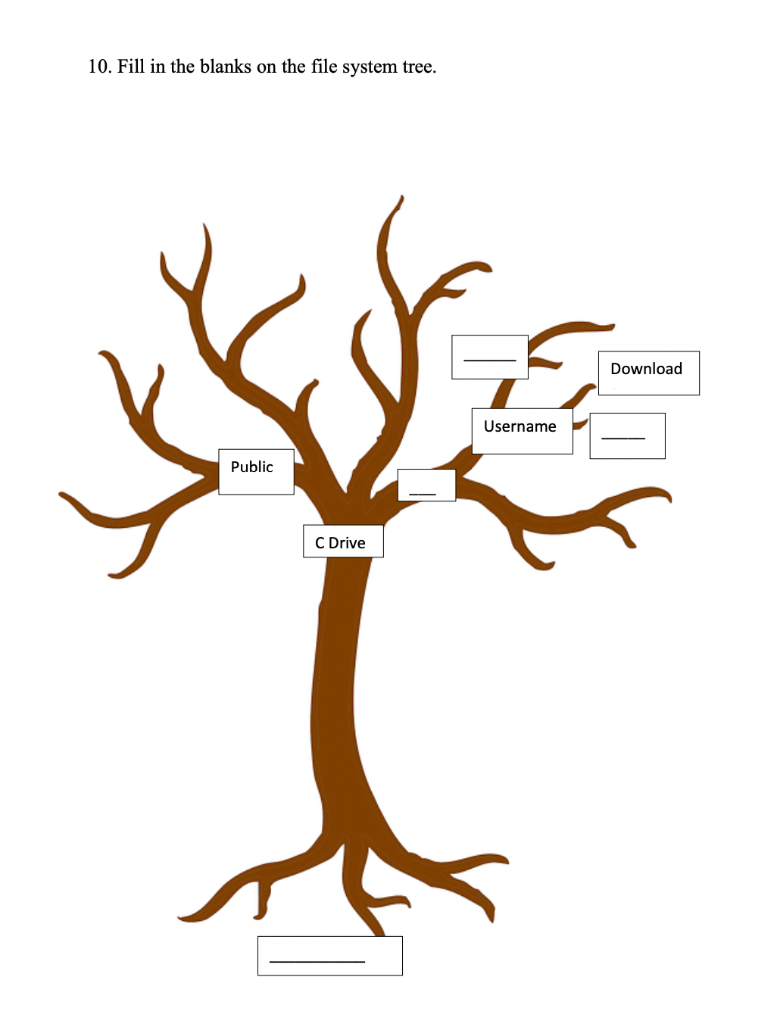 10. Fill in the blanks on the file system tree.