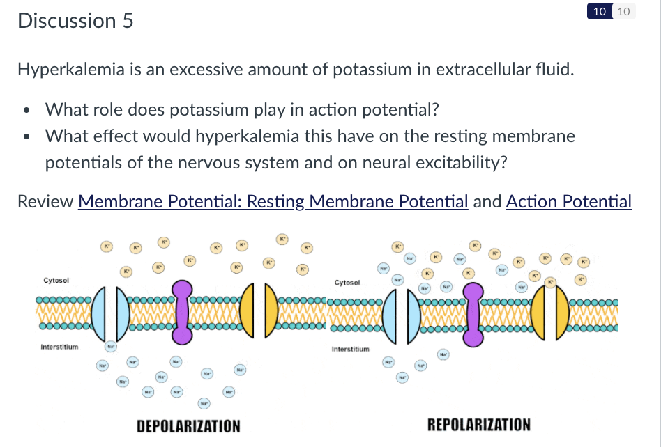 solved-hyperkalemia-is-an-excessive-amount-of-potassium-chegg