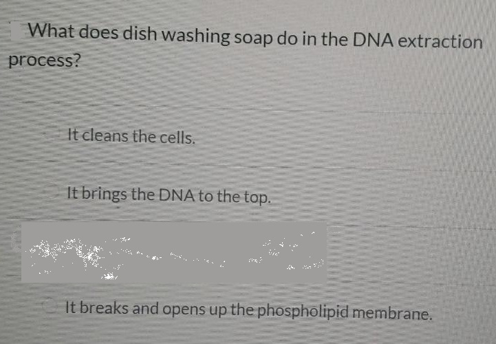 Solved 5. Which of the following is not true about DNA | Chegg.com