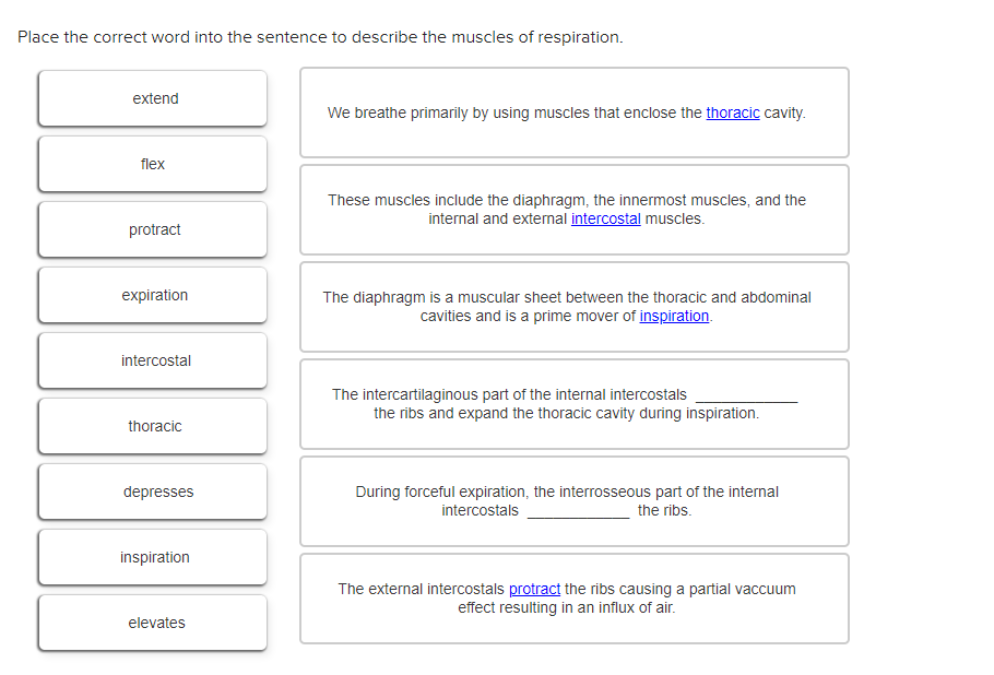 solved-place-a-word-or-phrase-from-the-left-into-each-blank-chegg