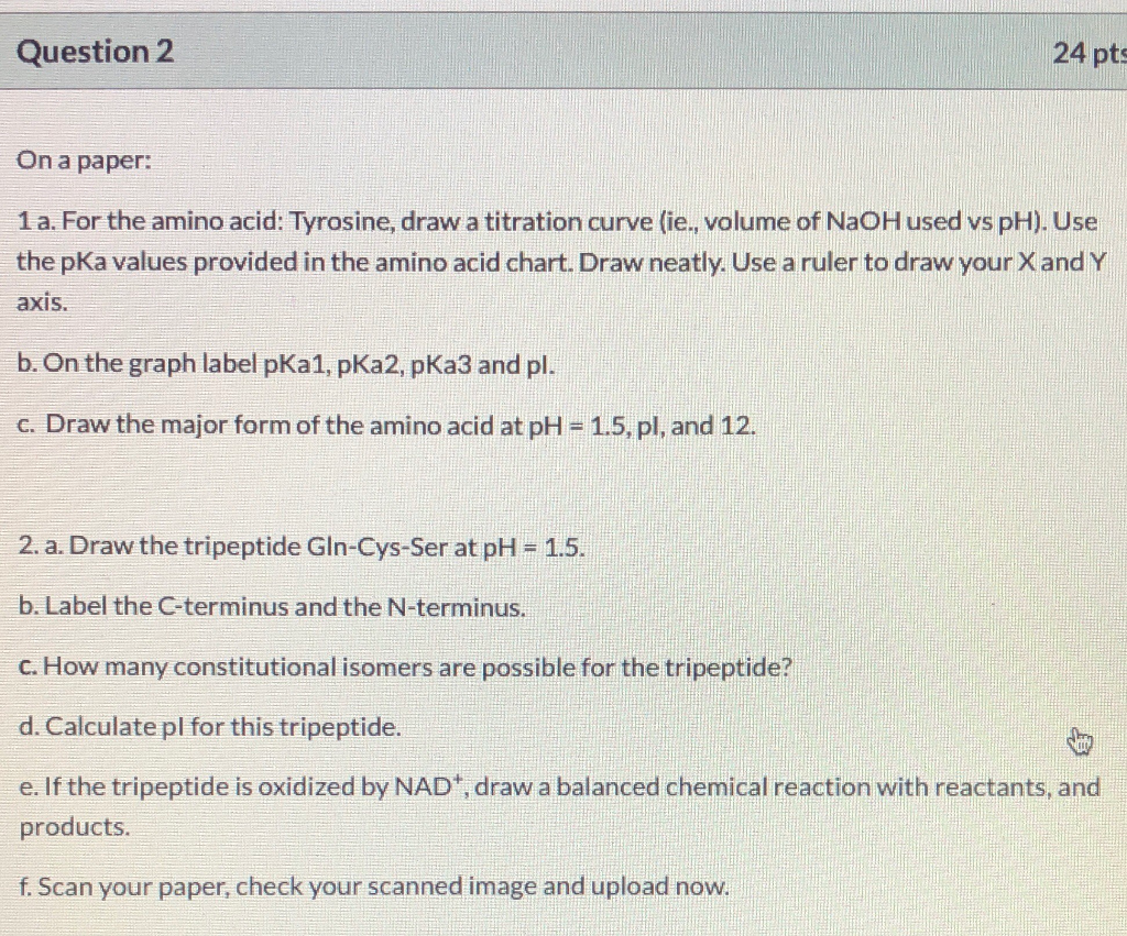 Solved Question 2 24 Pts On A Paper 1 A For The Amino A Chegg Com