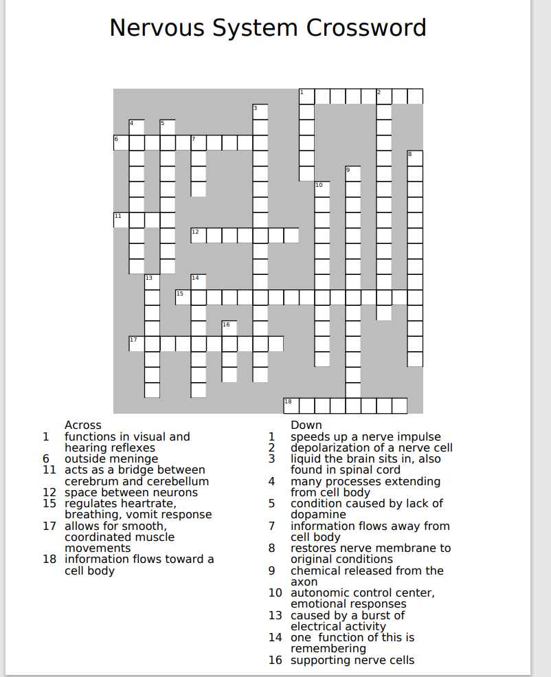 Solved Nervous System Crossword Across 1 functions in visual Chegg com