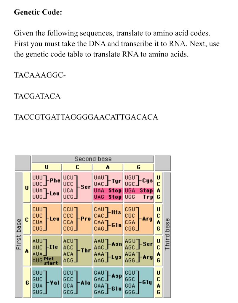 Solved Using the following image, label transcription with | Chegg.com